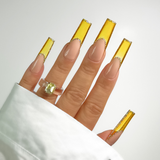 MIS-BEEHIVE