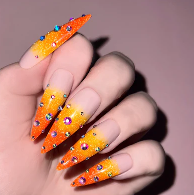 TIGER LILLY