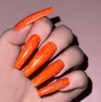 TIGER LILLY