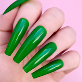 PALM READER